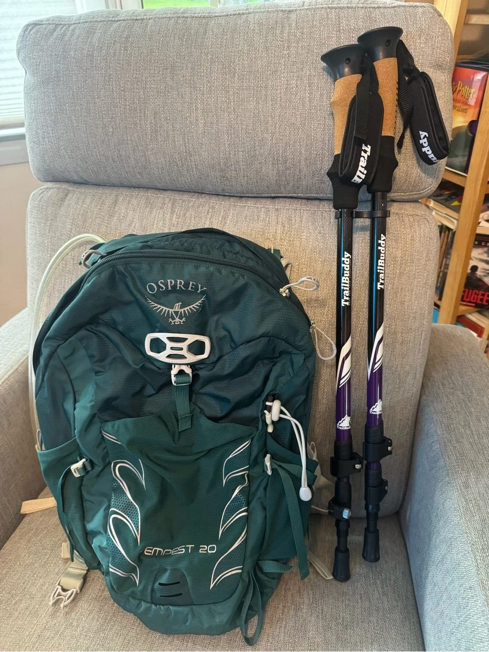 OSPREY Dark Green Daypack with Purple Trekking Poles